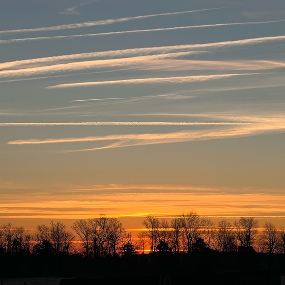 Meet your Posher, Pushpa - Picture 2 of 2